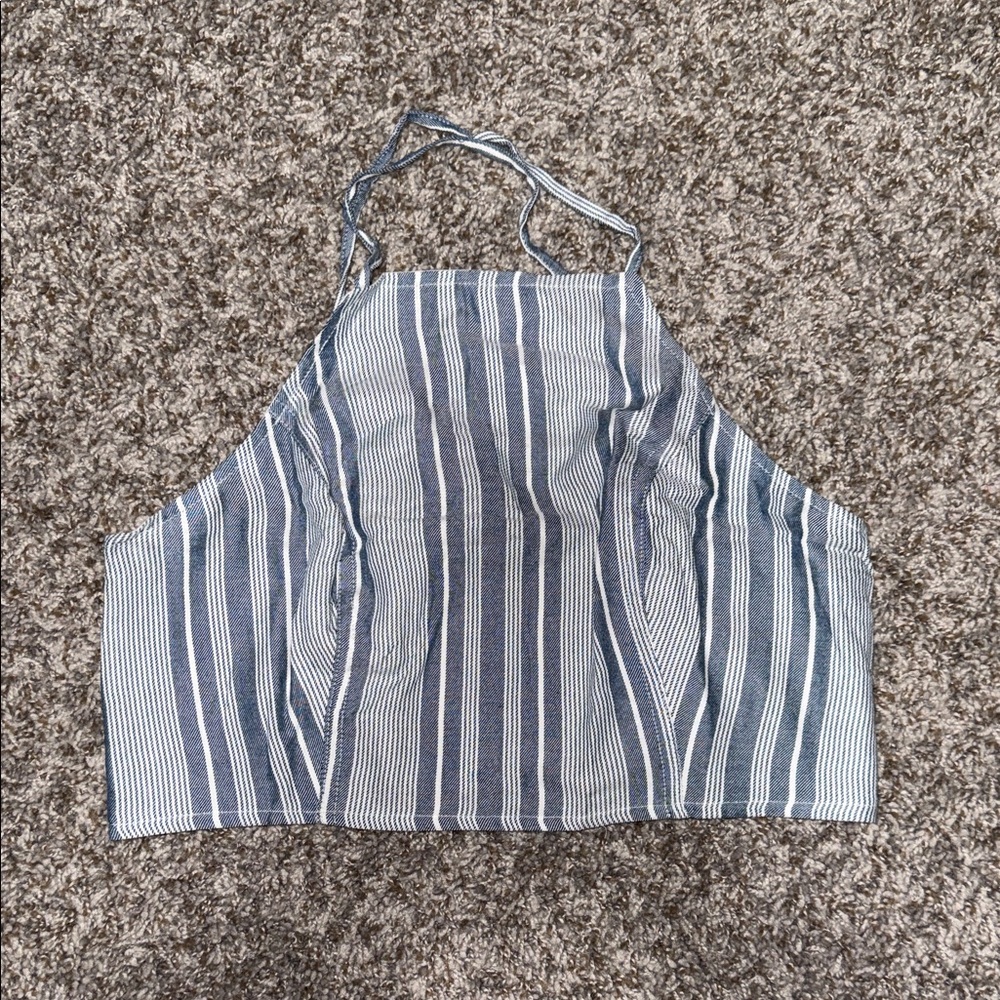 American Eagle Outfitters Blue and White Striped Crop Top